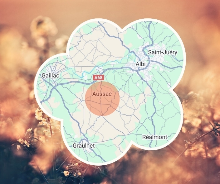 reiki-albi-tarn-7 reiki-albi-tarn