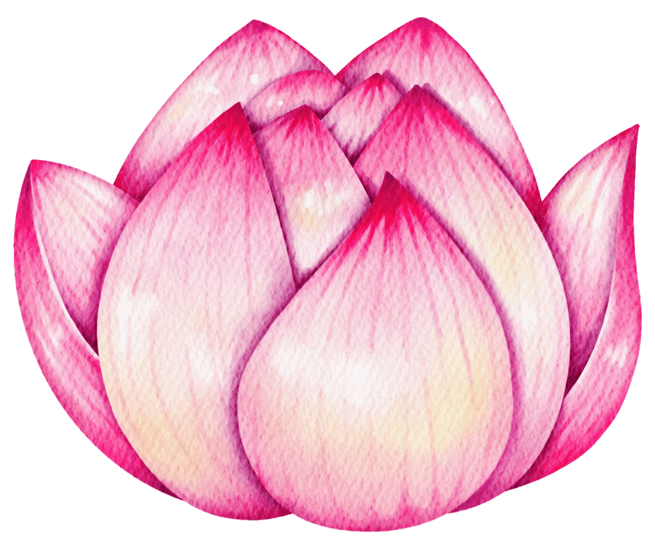 reiki-toulouse-albi-tarn